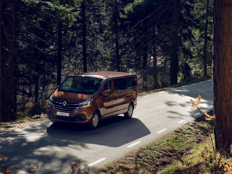  Renault Trafic Minibus LWB 2019 года  (WW) (фото 4 из 5)